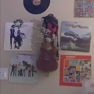 Meet your Posher, Bella